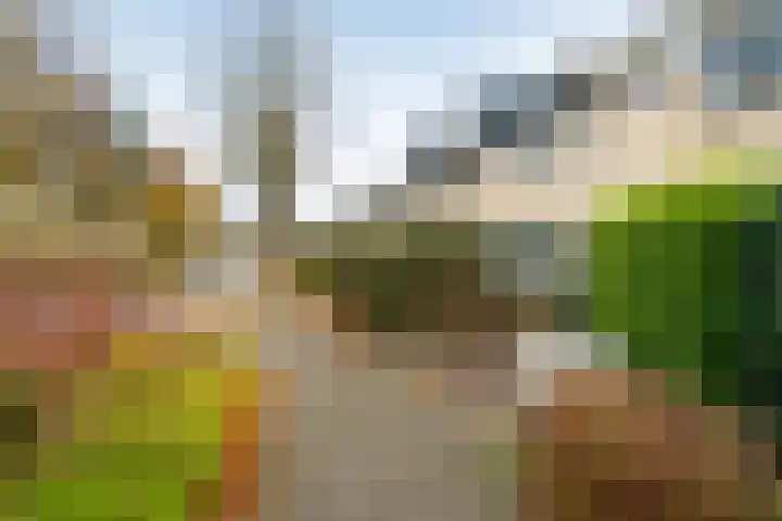 Alfred Nobellaan 21 De Bilt thumbnail 45