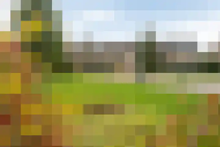 Alfred Nobellaan 21 De Bilt thumbnail 46