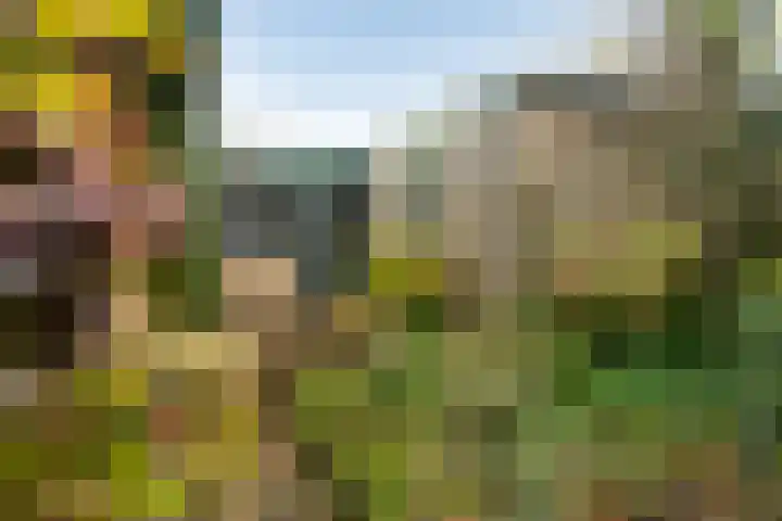 Alfred Nobellaan 21 De Bilt thumbnail 47