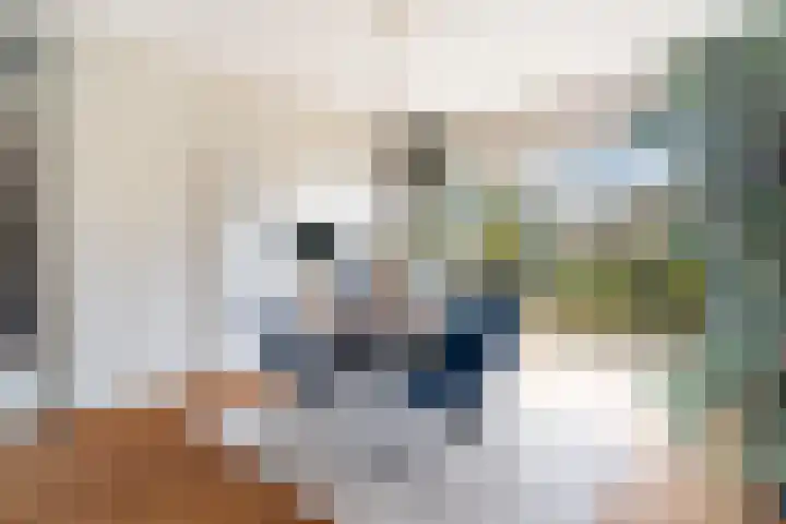Alfred Nobellaan 21 De Bilt thumbnail 5