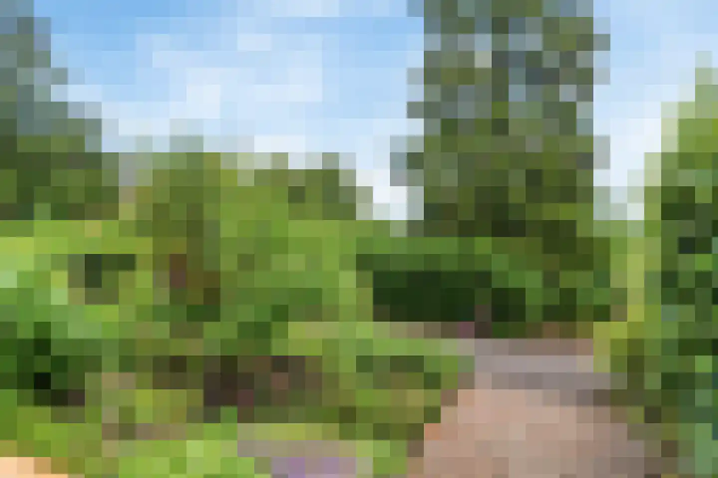 Alfred Nobellaan 25 De Bilt thumbnail 35