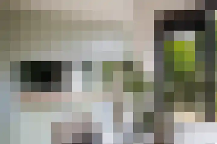 Alfred Nobellaan 42 De Bilt thumbnail 10