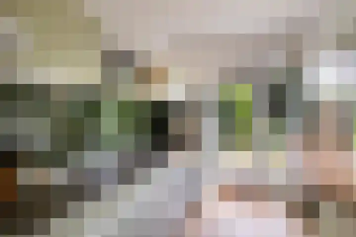 Alfred Nobellaan 42 De Bilt thumbnail 13