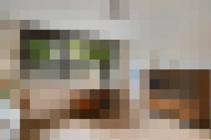 Alfred Nobellaan 42 De Bilt thumbnail 16