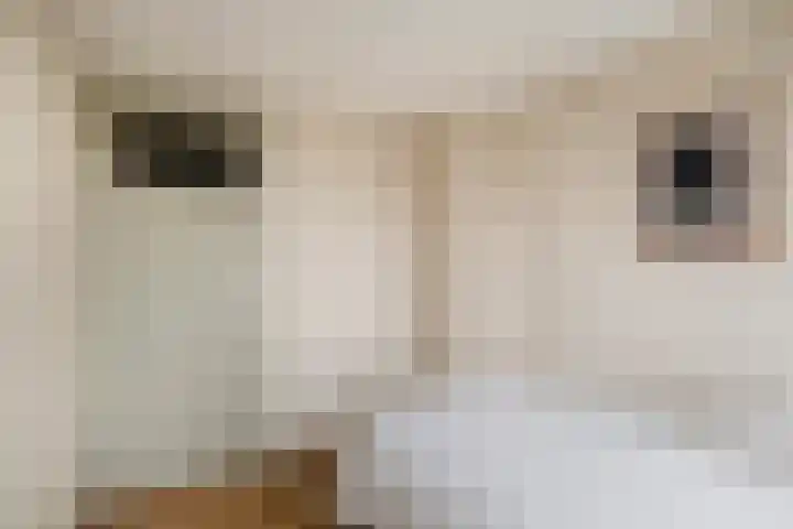 Alfred Nobellaan 42 De Bilt thumbnail 29