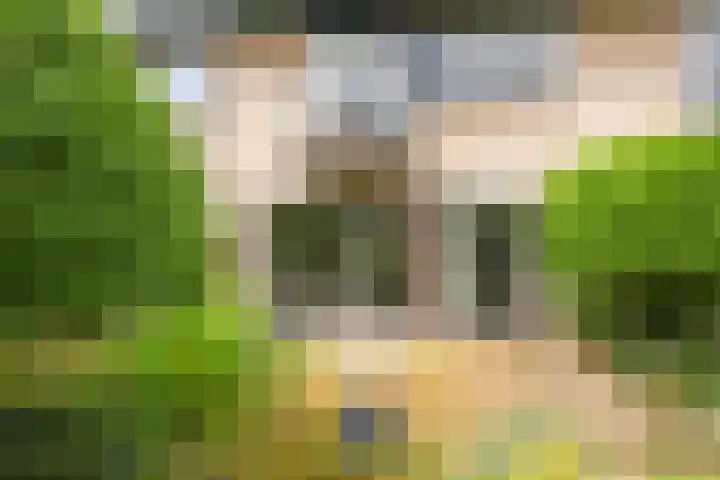 Alfred Nobellaan 42 De Bilt thumbnail 34