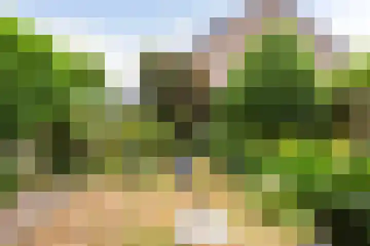 Alfred Nobellaan 42 De Bilt thumbnail 35