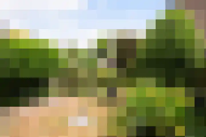 Alfred Nobellaan 42 De Bilt thumbnail 36