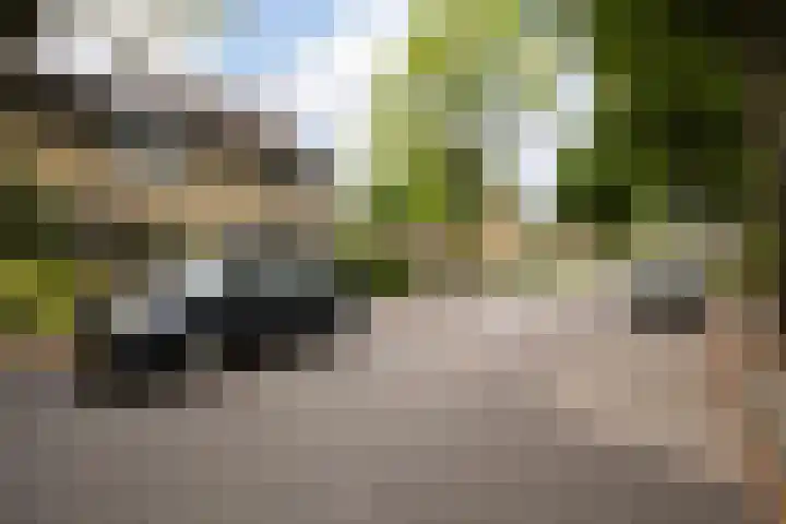 Alfred Nobellaan 42 De Bilt thumbnail 37