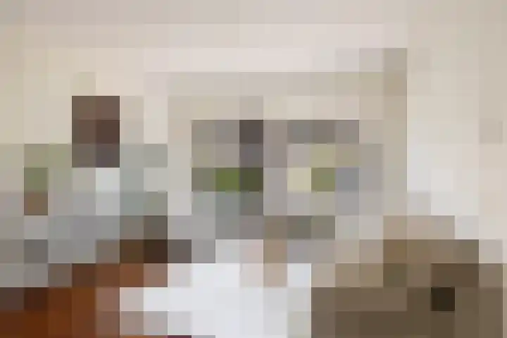 Alfred Nobellaan 42 De Bilt thumbnail 4