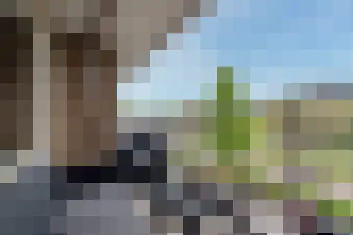 Alfred Nobellaan 453 De Bilt thumbnail 13