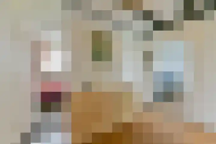 Alfred Nobellaan 453 De Bilt thumbnail 18