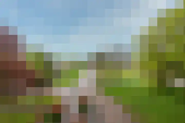 Alfred Nobellaan 453 De Bilt thumbnail 23