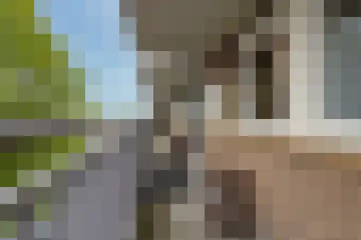 Alfred Nobellaan 453 De Bilt thumbnail 5