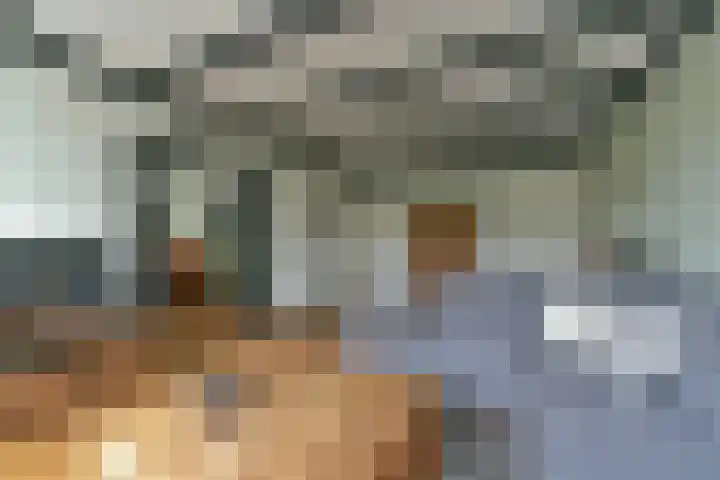 Alfred Nobellaan 453 De Bilt thumbnail 9