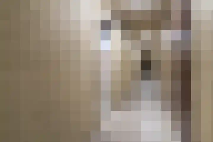Alfred Nobellaan 473 De Bilt thumbnail 24