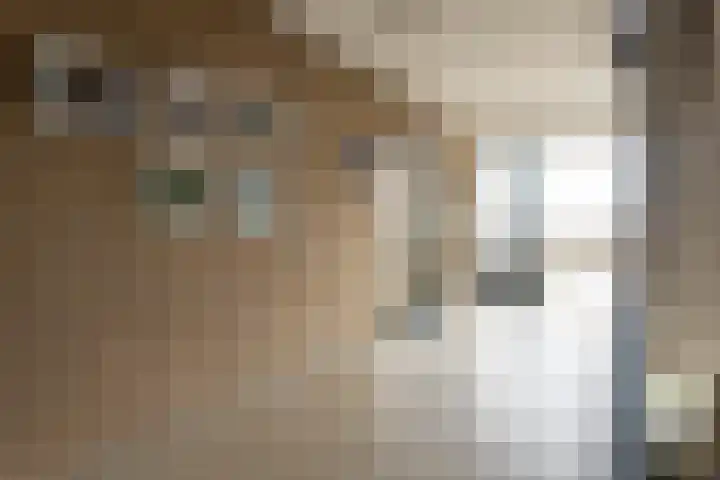Alfred Nobellaan 473 De Bilt thumbnail 4
