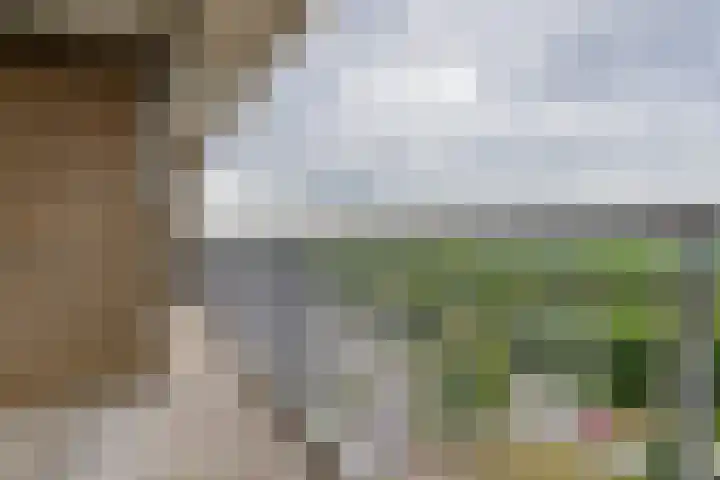 Alfred Nobellaan 507 De Bilt thumbnail 18