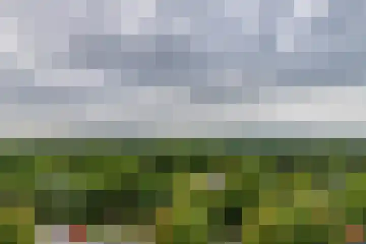 Alfred Nobellaan 507 De Bilt thumbnail 19