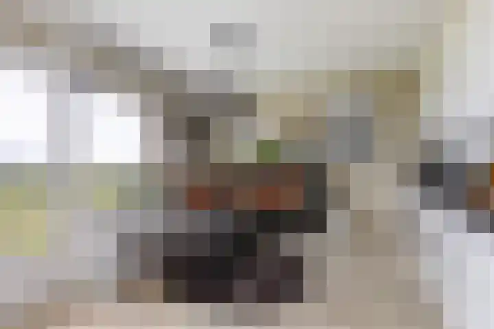 Alfred Nobellaan 513 De Bilt thumbnail 11