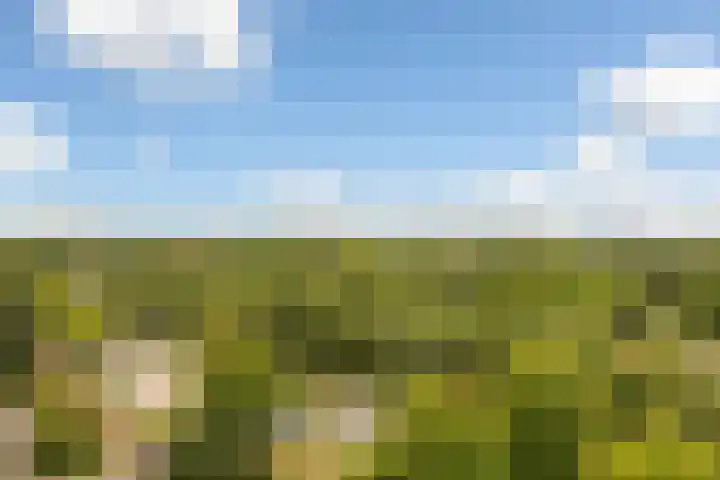 Alfred Nobellaan 513 De Bilt thumbnail 19