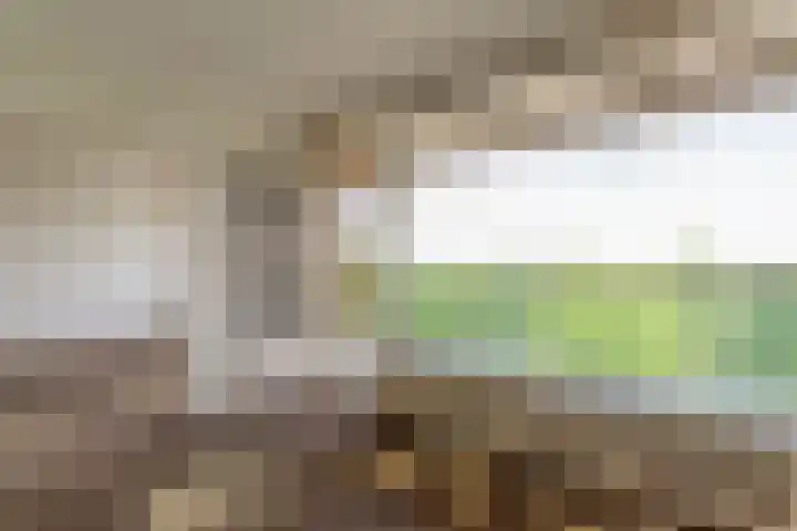 Alfred Nobellaan 555 De Bilt thumbnail 13