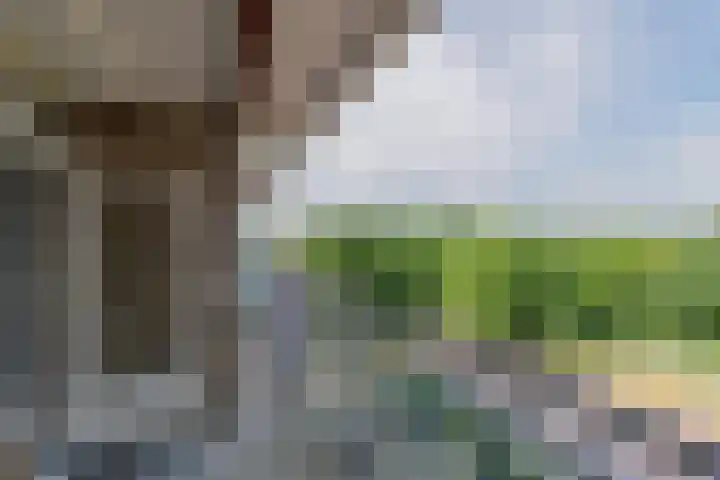 Alfred Nobellaan 555 De Bilt thumbnail 14