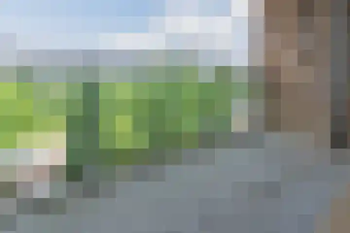Alfred Nobellaan 555 De Bilt thumbnail 15