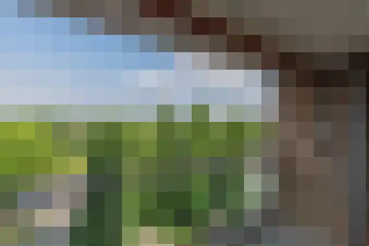 Alfred Nobellaan 555 De Bilt thumbnail 16