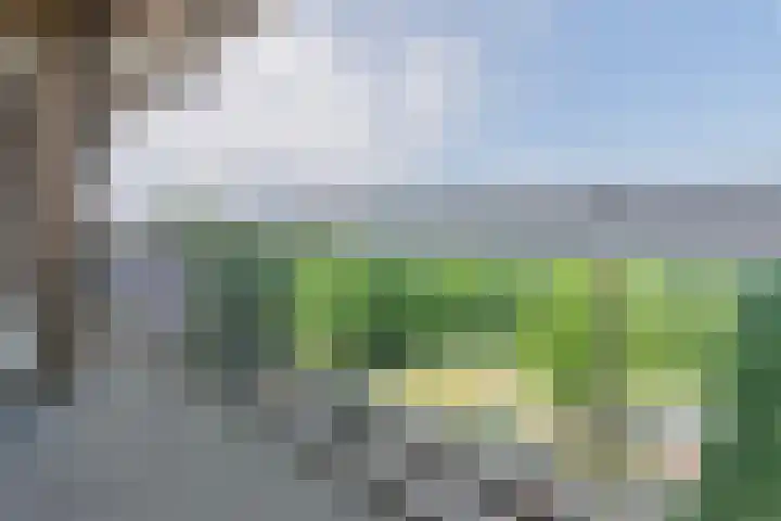 Alfred Nobellaan 555 De Bilt thumbnail 17