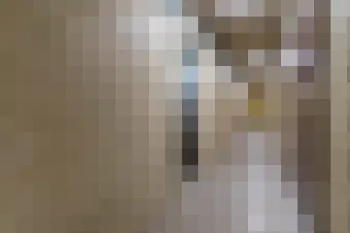 Alfred Nobellaan 555 De Bilt thumbnail 27