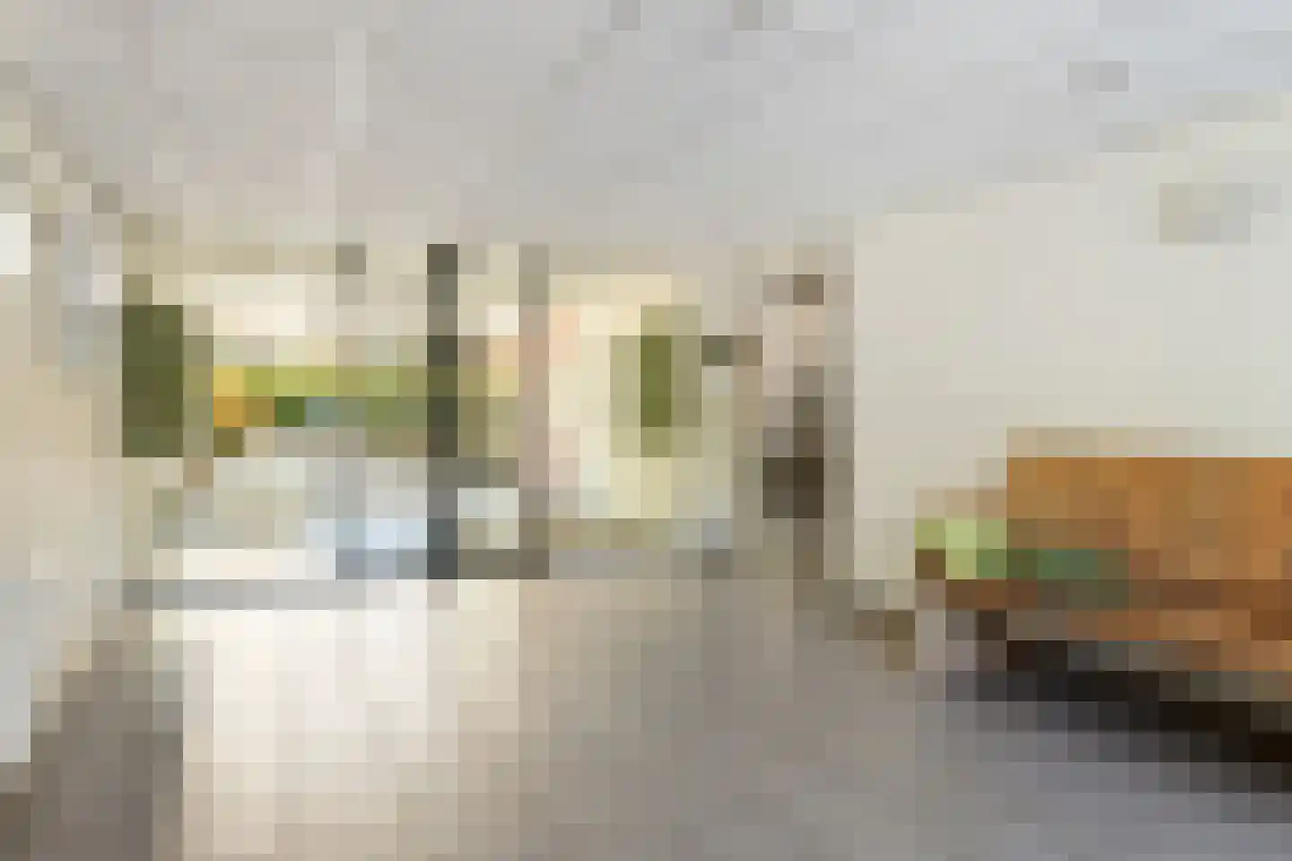 Alfred Nobellaan 623 De Bilt thumbnail 28