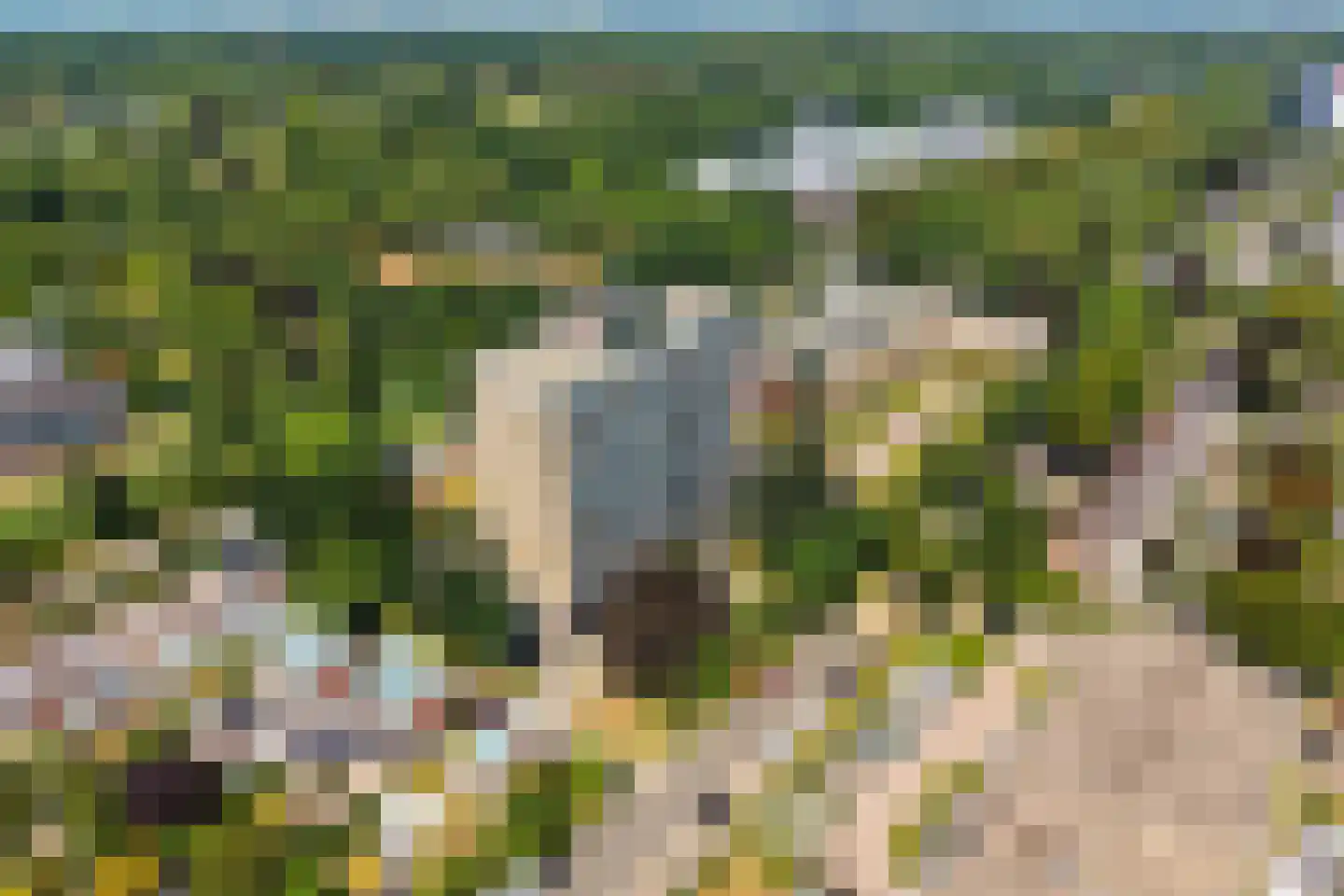 Alfred Nobellaan 623 De Bilt thumbnail 34