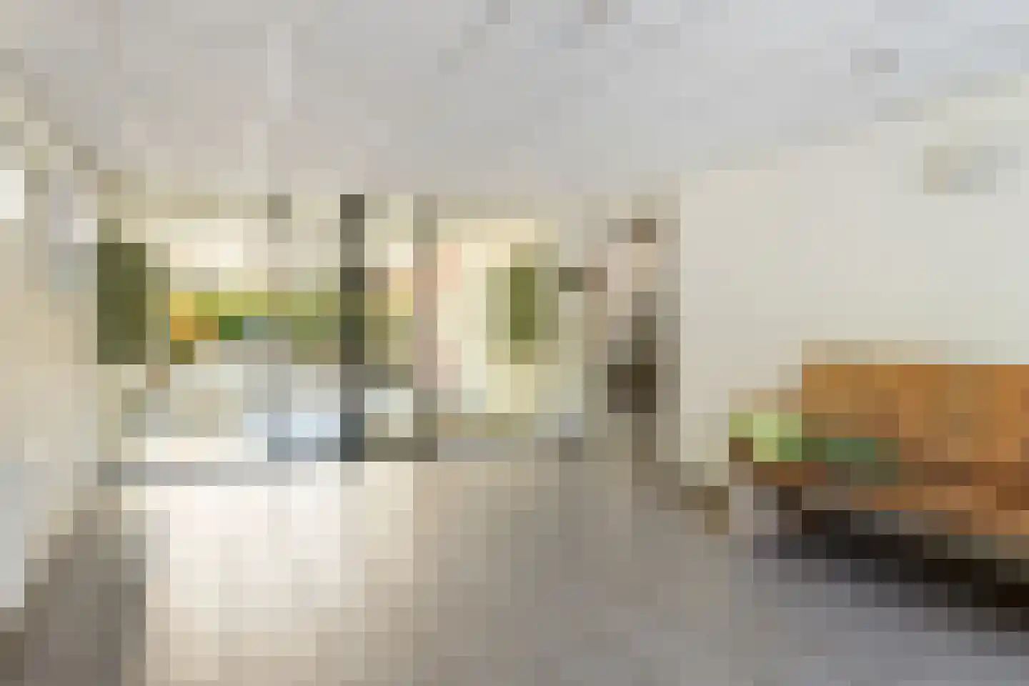 Alfred Nobellaan 635 De Bilt thumbnail 33