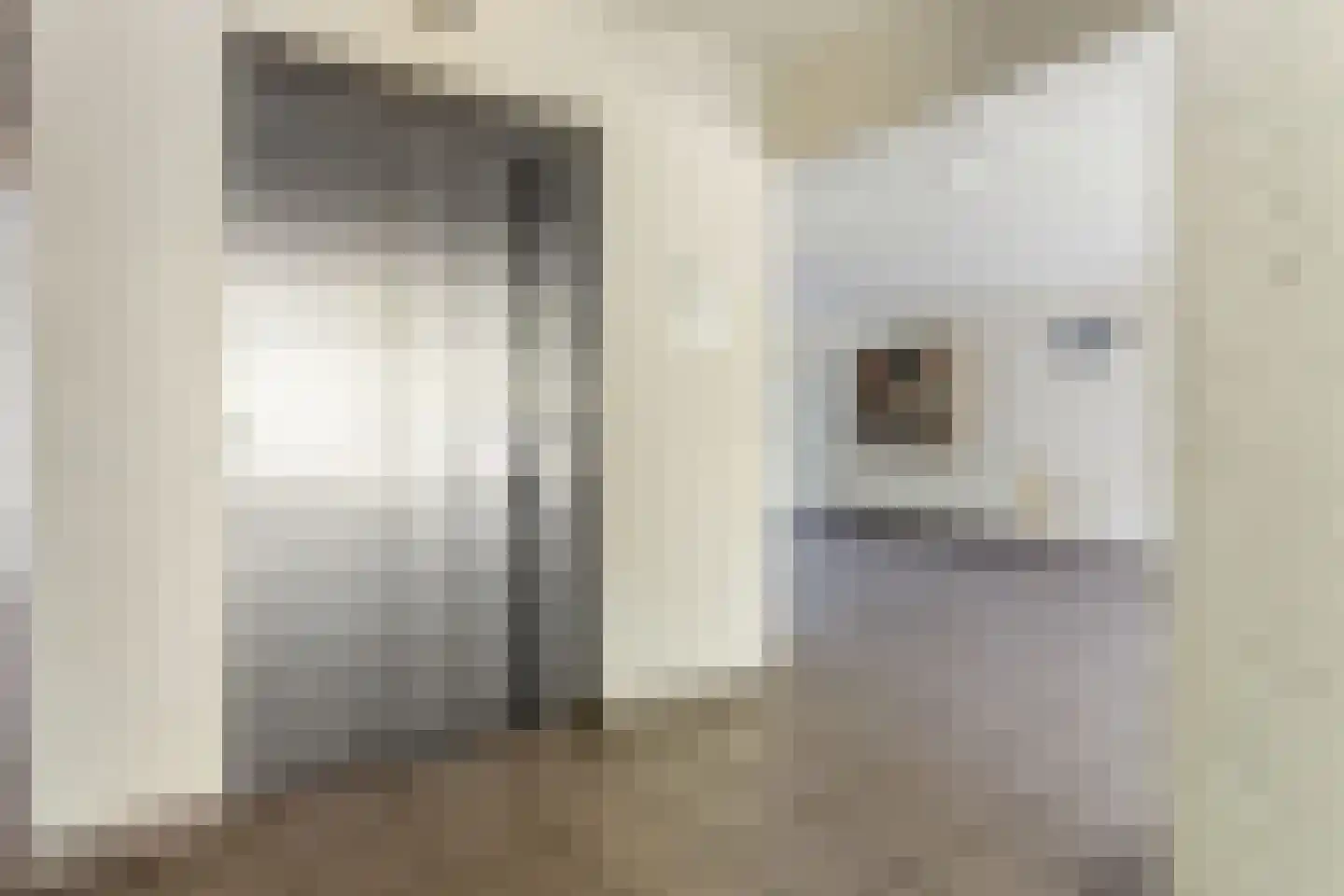 Alfred Nobellaan 635 De Bilt thumbnail 35