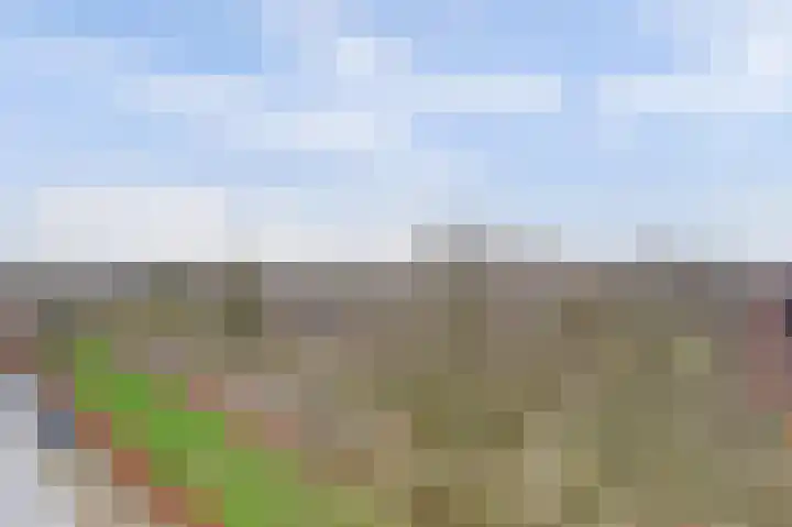Alfred Nobellaan 637 De Bilt thumbnail 40