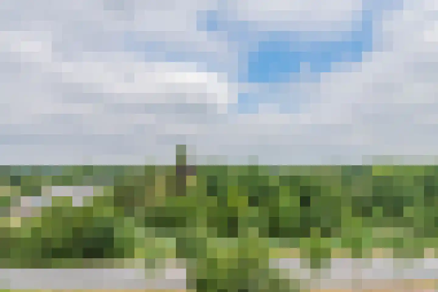 Alfred Nobellaan 647 De Bilt thumbnail 23