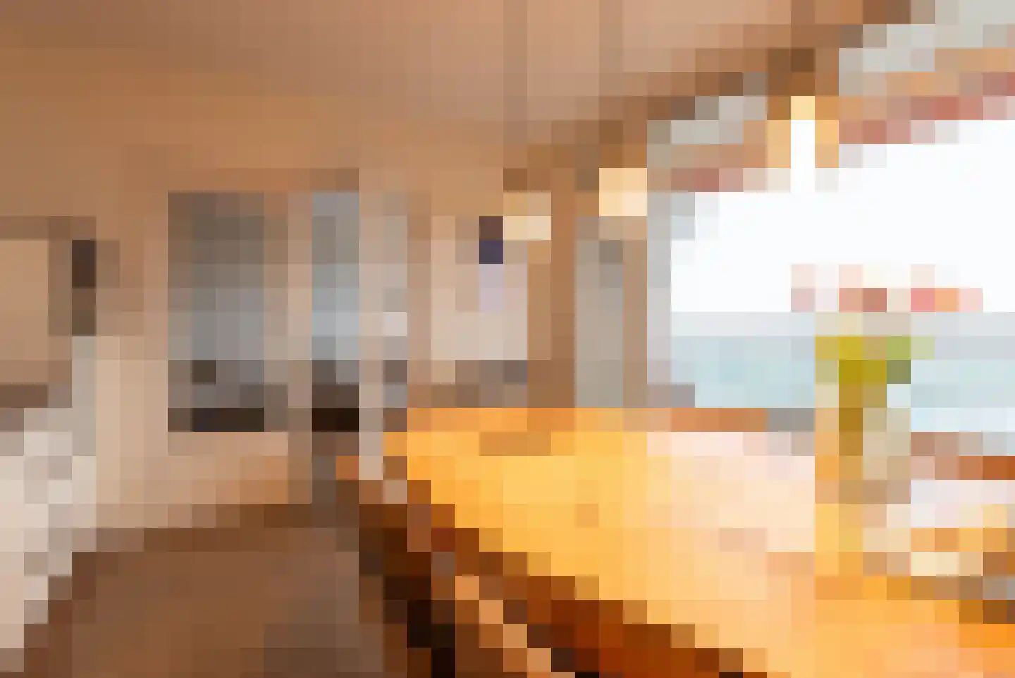 Alfred Nobellaan 665 De Bilt thumbnail 15