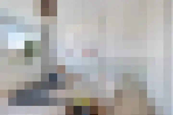 Alfred Nobellaan 88 De Bilt thumbnail 16