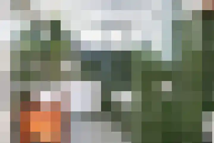 Alfred Nobellaan 88 De Bilt thumbnail 20