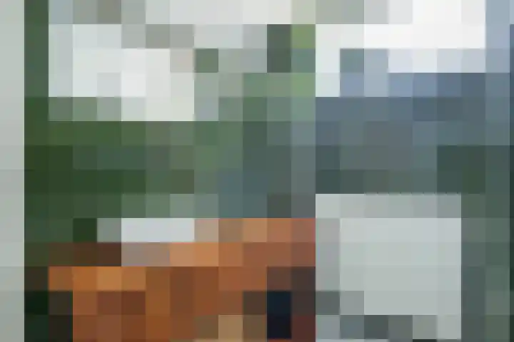 Alfred Nobellaan 88 De Bilt thumbnail 21