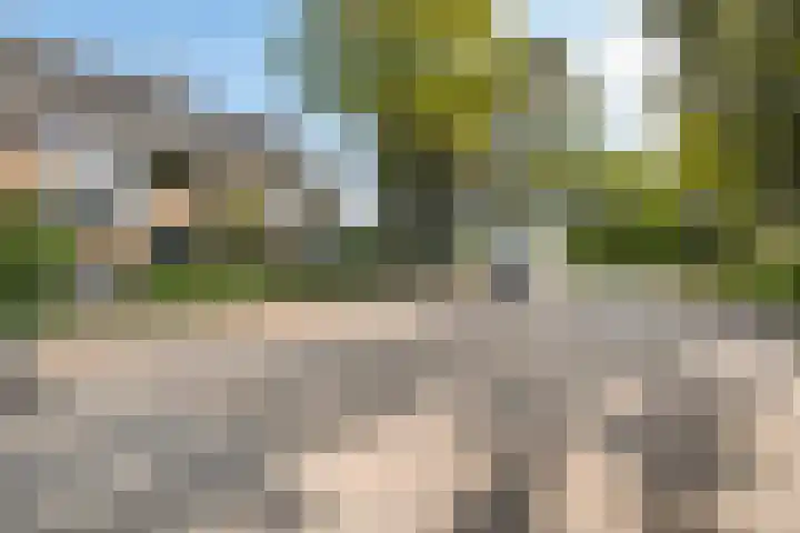 Alfred Nobellaan 88 De Bilt thumbnail 39