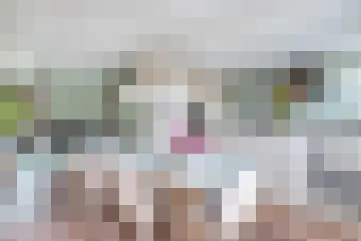 Alfred Nobellaan 88 De Bilt thumbnail 6