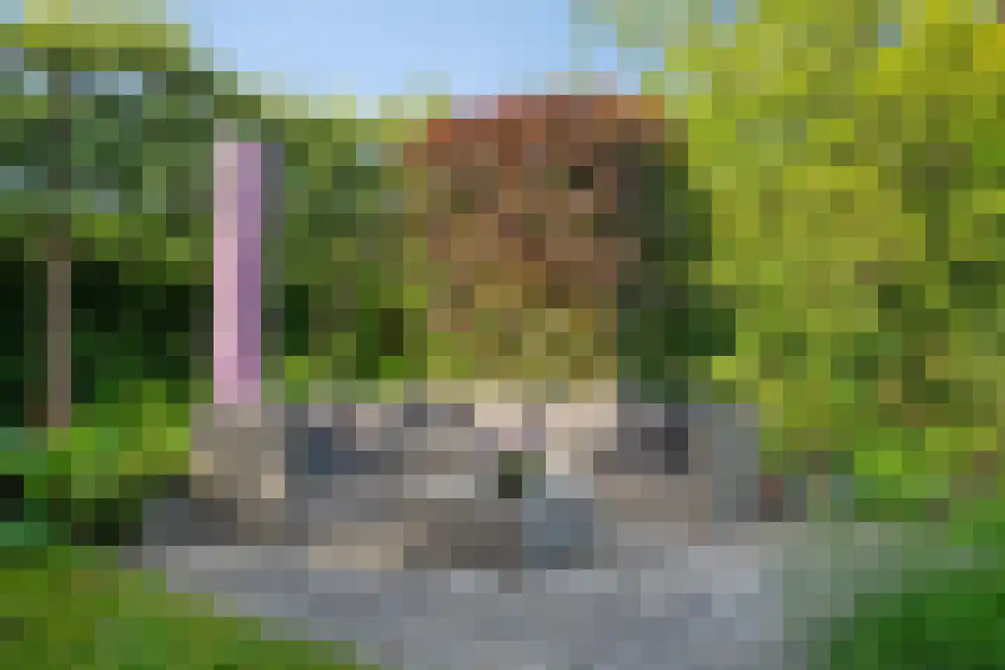 Alfred Smithlaan 11 Zaltbommel thumbnail 41