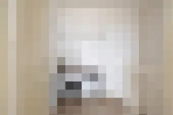Alfred Smithlaan 13 Zaltbommel thumbnail 28