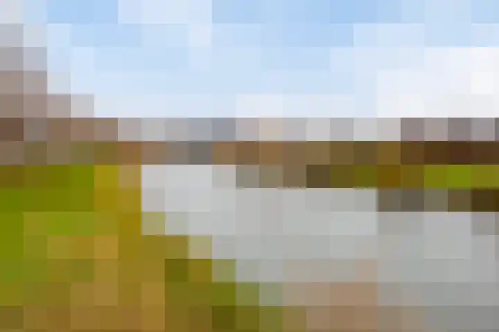 Alfred Smithlaan 13 Zaltbommel thumbnail 35