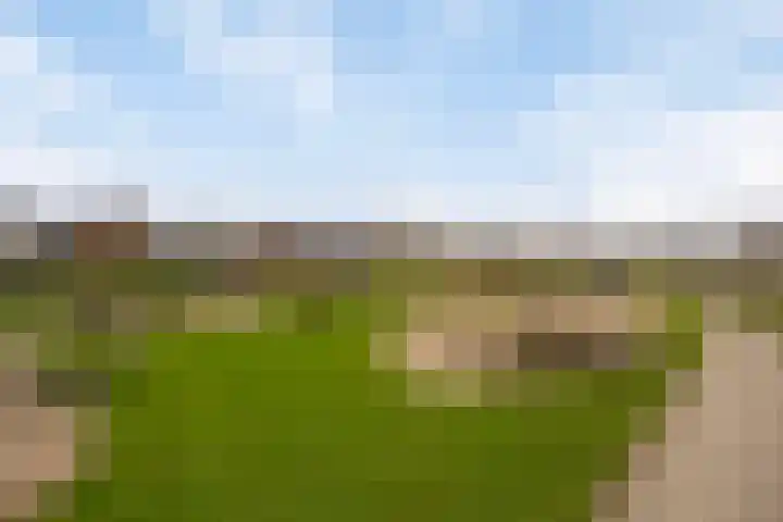 Alfred Smithlaan 13 Zaltbommel thumbnail 36