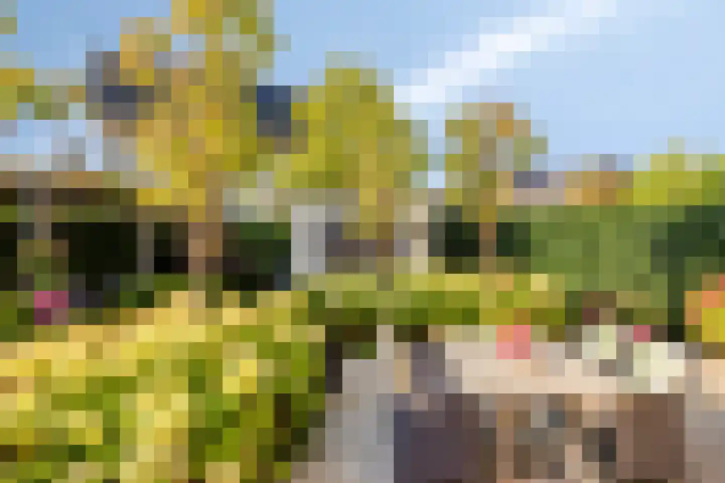 Alfred Smithlaan 19 Zaltbommel thumbnail 31