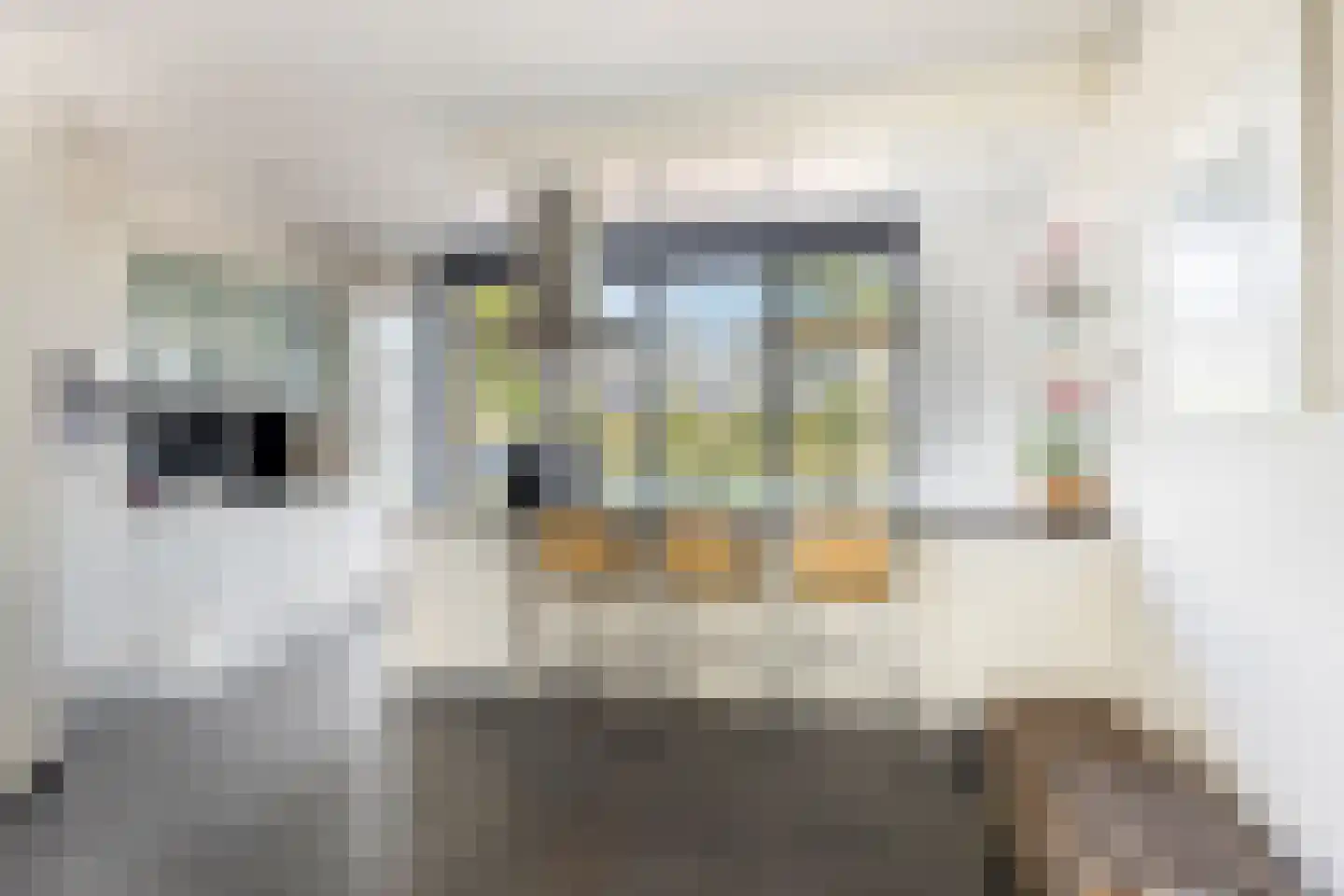 Alfred Smithlaan 19 Zaltbommel thumbnail 8