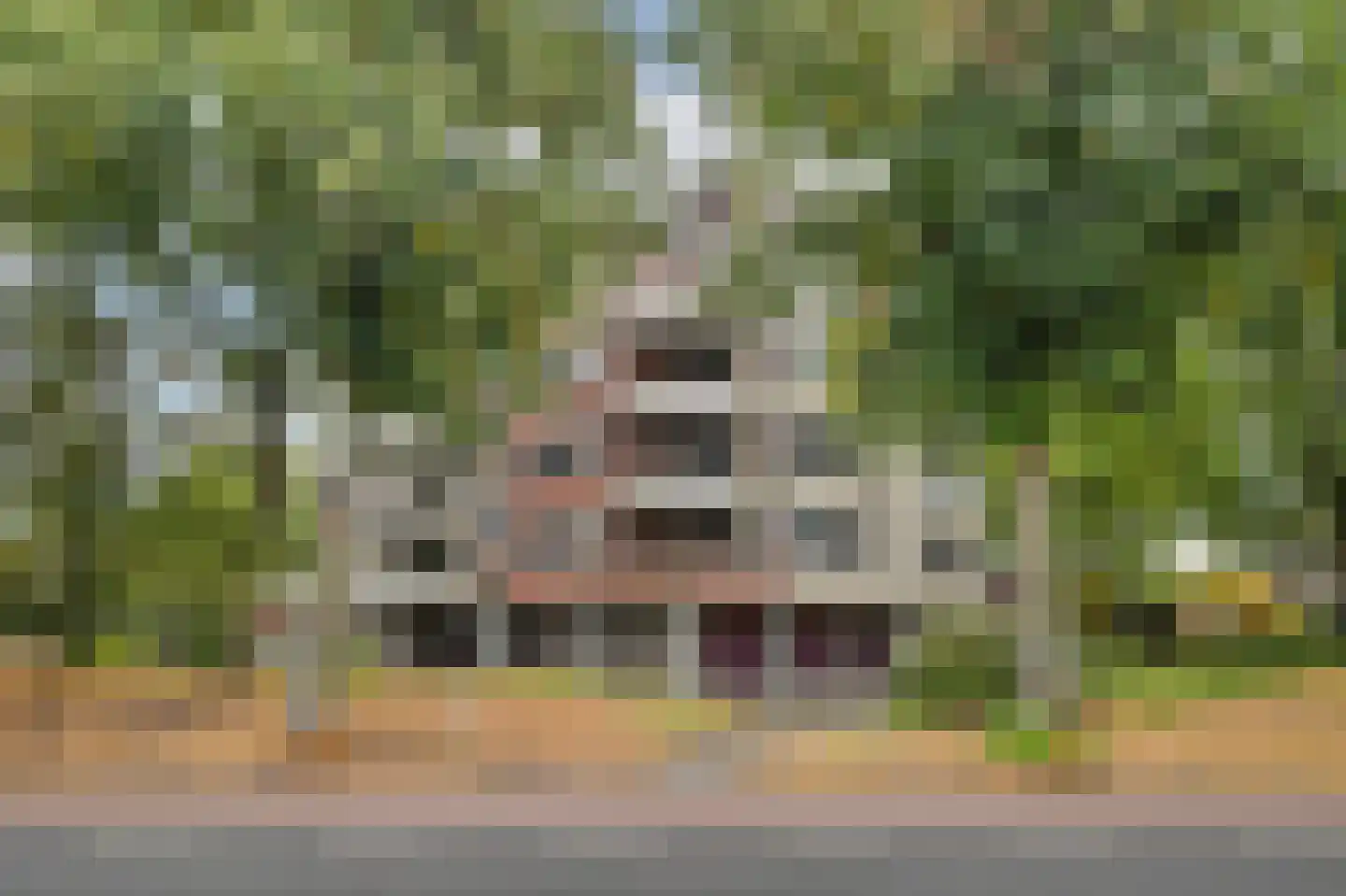Alfridahof 13 Venray thumbnail 16